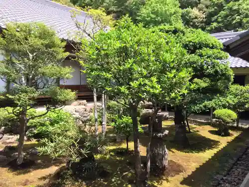 正眼寺の庭園