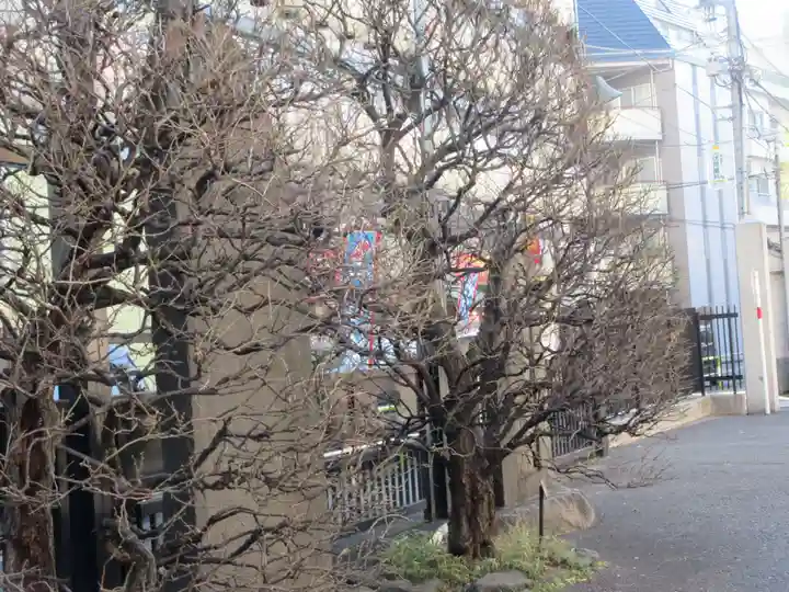 眞性寺(東京都)