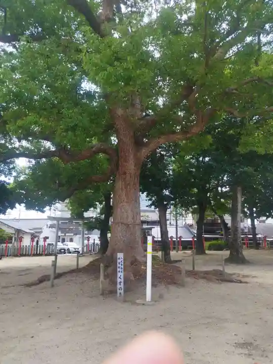 許麻神社(大阪府)