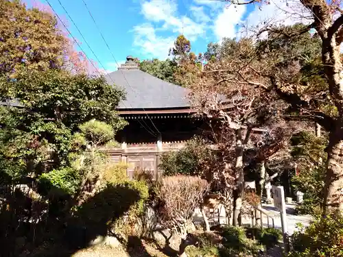 岩之上堂(埼玉県)