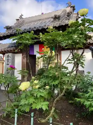 真言宗　善通寺派　薬王寺(香川県)