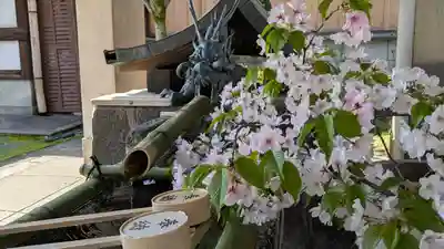 六孫王神社(京都府)