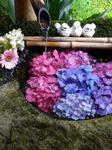 柳谷観音　楊谷寺の手水舎