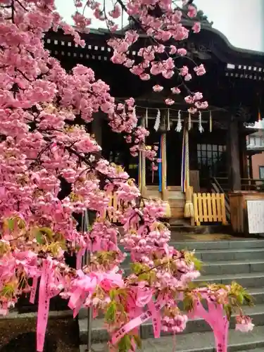 桜神宮(東京都)