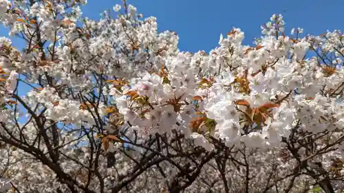 仁和寺(京都府)