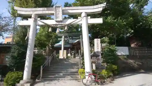 鳩ヶ谷氷川神社の鳥居