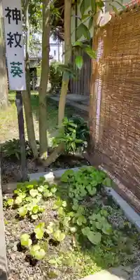 伊豆神社(滋賀県)