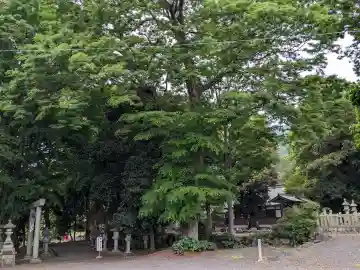 杉生神社の{uncategorized: "未分類", other: "その他", undefined: "問題あり", building: "その他建物", grave: "お墓", sacred_gate: "鳥居", guardian: "狛犬", statue: "像", buddha: "仏像", history: "歴史", nature: "自然", garden: "庭園", animal: "動物", pagoda: "塔", temizu: "手水舎", mountain_gate: "山門・神門", sanctuary: "本殿・本堂", subordinate: "末社・摂社", art: "芸術", scenery: "景色", jizo: "地蔵", ema: "絵馬", goshuin: "御朱印", omikuji: "おみくじ", items: "授与品その他", amulet: "お守り", goshuincho: "御朱印帳", eats: "食事", festival: "お祭り", votive_dance: "神楽", shichigosan: "七五三参", wedding: "結婚式", experience: "体験その他", initially: "初詣", around: "周辺", anti_infection: "感染症対策"}