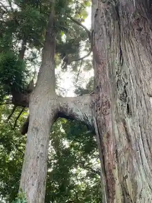熊野那智神社(宮城県)