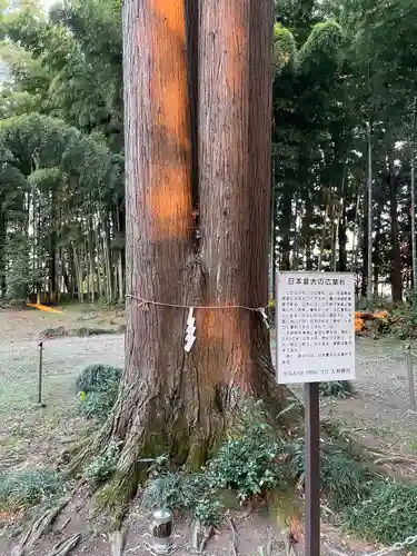 大神神社(栃木県)