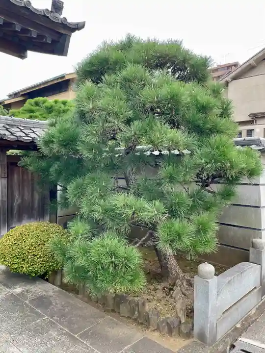 大行寺(東京都)