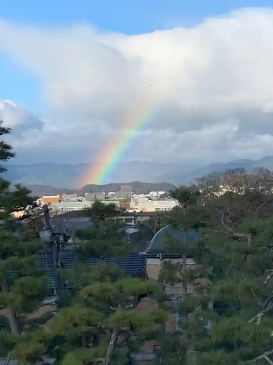 京都祇園堂(廃寺?)の自然