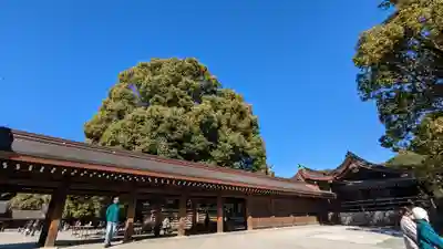 明治神宮(東京都)
