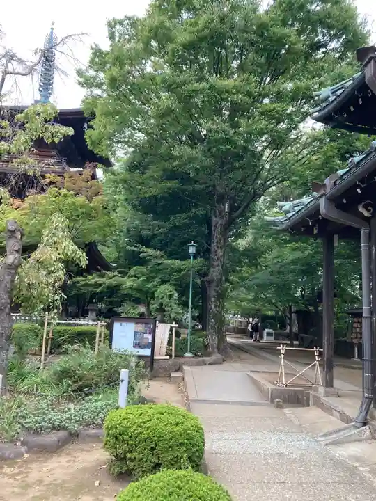 豪徳寺(東京都)