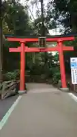 箱根神社の鳥居