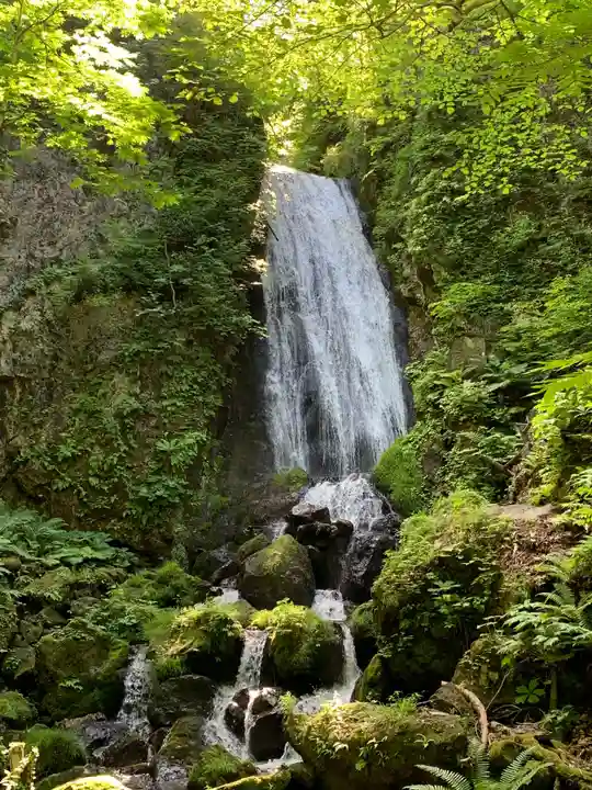 桜松神社の自然