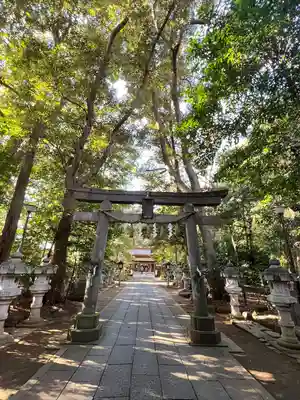 駒木諏訪神社の鳥居