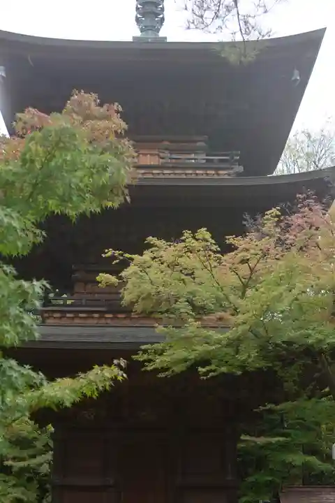 豪徳寺(東京都)