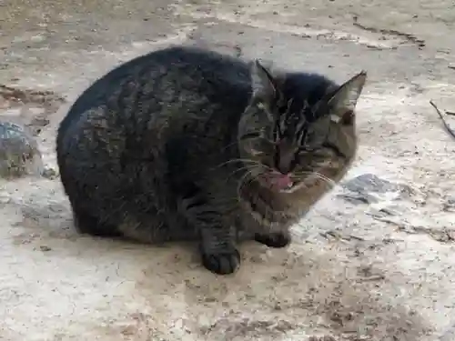 王子神社の動物