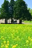 沢山神社(澤山神社)(新潟県)