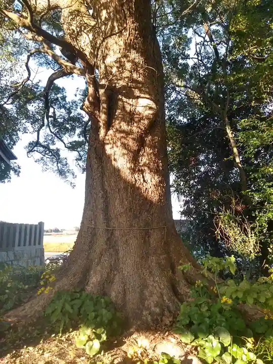 貴船神社の自然