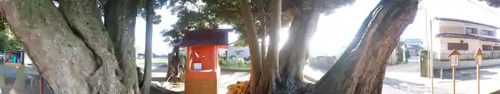 道路衢神(茨城県)