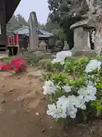 伏木香取神社(茨城県)