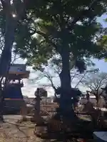 能護寺のその他建物