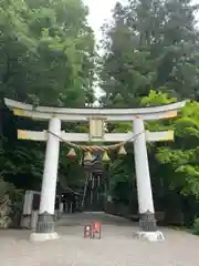 宝登山神社の鳥居