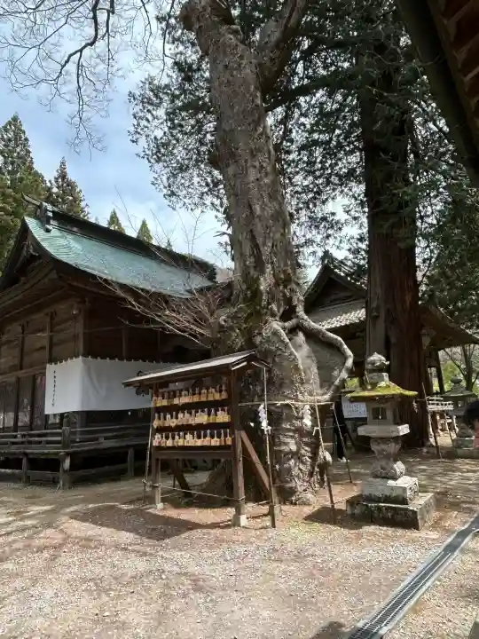 新海三社神社の{uncategorized: "未分類", other: "その他", undefined: "問題あり", building: "その他建物", grave: "お墓", sacred_gate: "鳥居", guardian: "狛犬", statue: "像", buddha: "仏像", history: "歴史", nature: "自然", garden: "庭園", animal: "動物", pagoda: "塔", temizu: "手水舎", mountain_gate: "山門・神門", sanctuary: "本殿・本堂", subordinate: "末社・摂社", art: "芸術", scenery: "景色", jizo: "地蔵", ema: "絵馬", goshuin: "御朱印", omikuji: "おみくじ", items: "授与品その他", amulet: "お守り", goshuincho: "御朱印帳", eats: "食事", festival: "お祭り", votive_dance: "神楽", shichigosan: "七五三参", wedding: "結婚式", experience: "体験その他", initially: "初詣", around: "周辺", anti_infection: "感染症対策"}