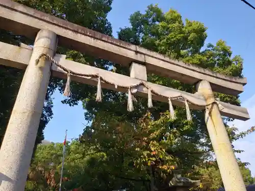 刺田比古神社の鳥居