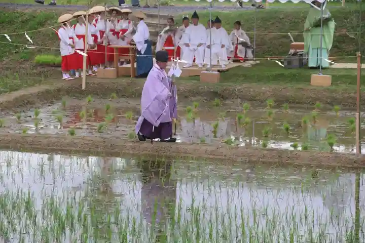 高屋敷稲荷神社のお祭り