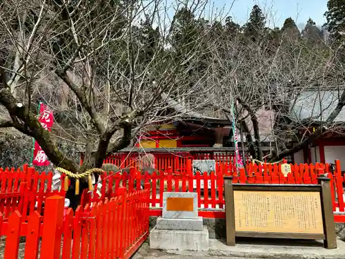 金櫻神社(山梨県)