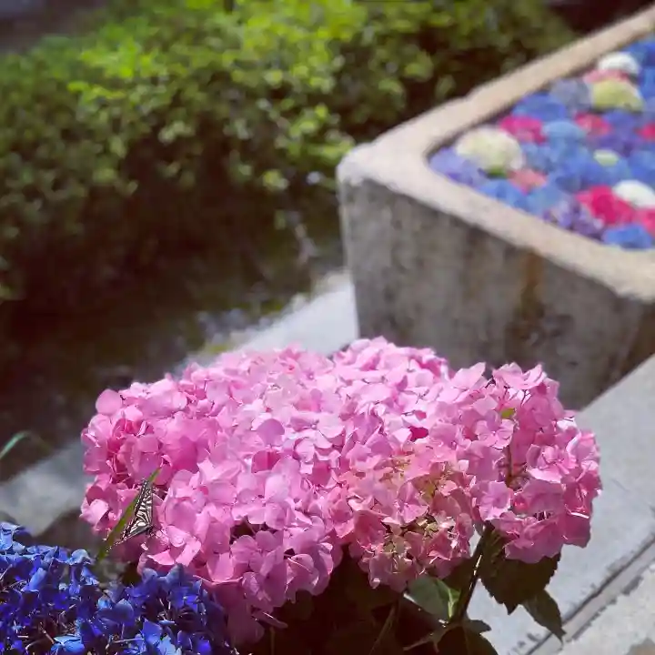 伊勢の国 四天王寺の手水舎