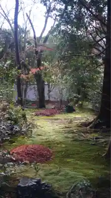 蓮華寺（洛北蓮華寺）(京都府)