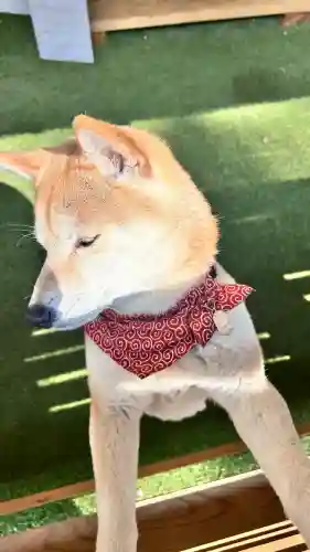尻岸内八幡神社(北海道)