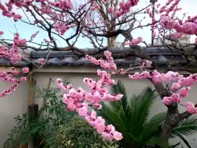 法応寺の{uncategorized: "未分類", other: "その他", undefined: "問題あり", building: "その他建物", grave: "お墓", sacred_gate: "鳥居", guardian: "狛犬", statue: "像", buddha: "仏像", history: "歴史", nature: "自然", garden: "庭園", animal: "動物", pagoda: "塔", temizu: "手水舎", mountain_gate: "山門・神門", sanctuary: "本殿・本堂", subordinate: "末社・摂社", art: "芸術", scenery: "景色", jizo: "地蔵", ema: "絵馬", goshuin: "御朱印", omikuji: "おみくじ", items: "授与品その他", amulet: "お守り", goshuincho: "御朱印帳", eats: "食事", festival: "お祭り", votive_dance: "神楽", shichigosan: "七五三参", wedding: "結婚式", experience: "体験その他", initially: "初詣", around: "周辺", anti_infection: "感染症対策"}