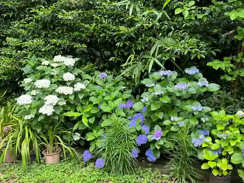 大綱金刀比羅神社(神奈川県)
