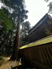 鹿島神宮(茨城県)