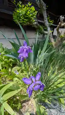 得浄明院(善光寺別院)(京都府)