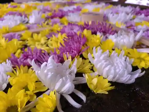 土津神社｜こどもと出世の神さまの手水