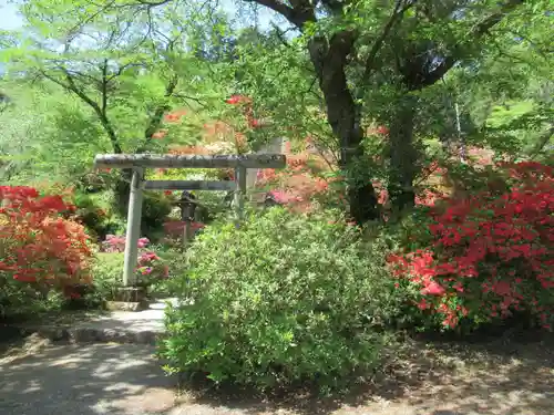 愛宕神社の鳥居