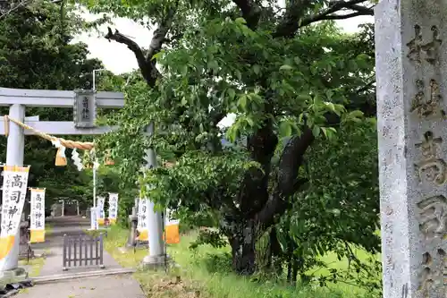 高司神社〜むすびの神の鎮まる社〜の鳥居