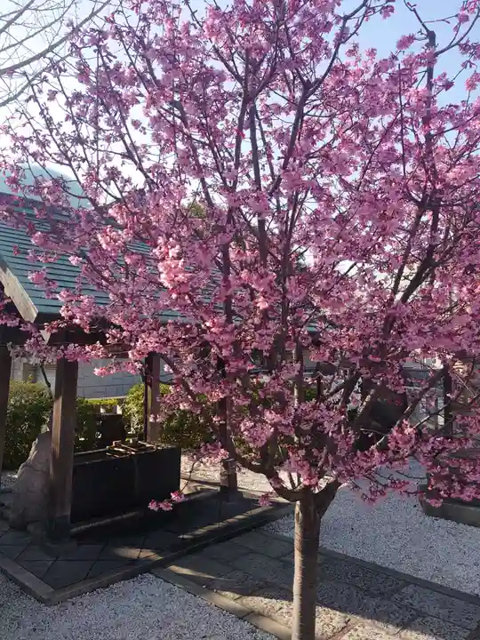 石濱神社の自然