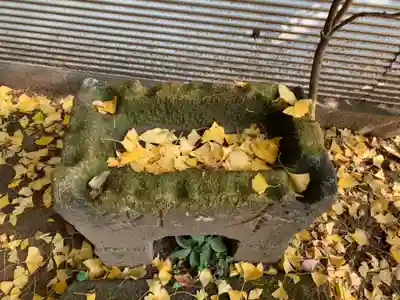 大宮神社(千葉県)