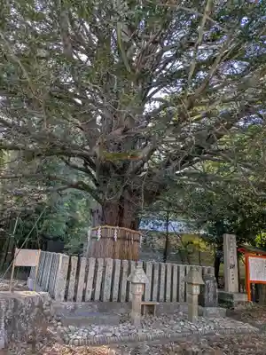 熊野速玉大社(和歌山県)