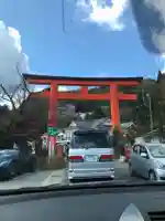 箱根神社の鳥居