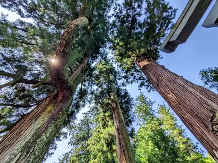 妙義神社(群馬県)