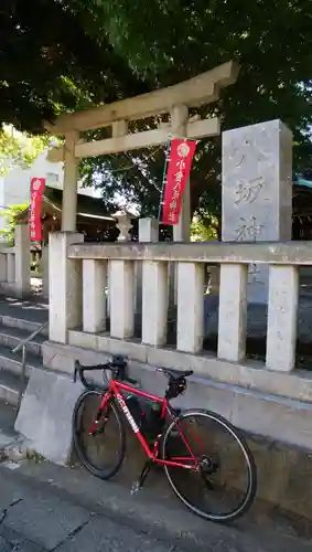 小金八坂神社の鳥居