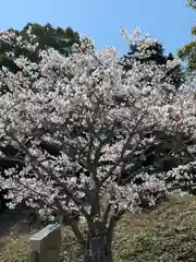 安仁神社(岡山県)